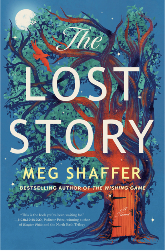 The Lost Story (Hardcover)