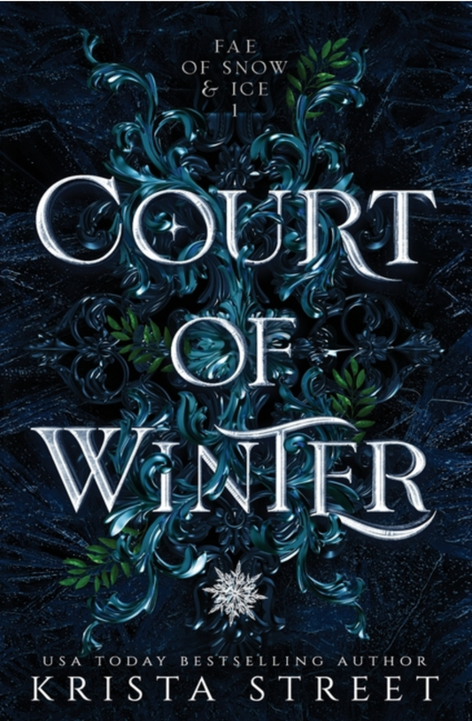 Court of Winter - (Paperback)