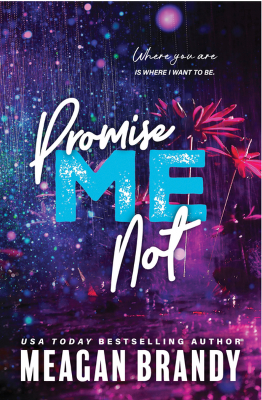 Promise Me Not - (Paperback)