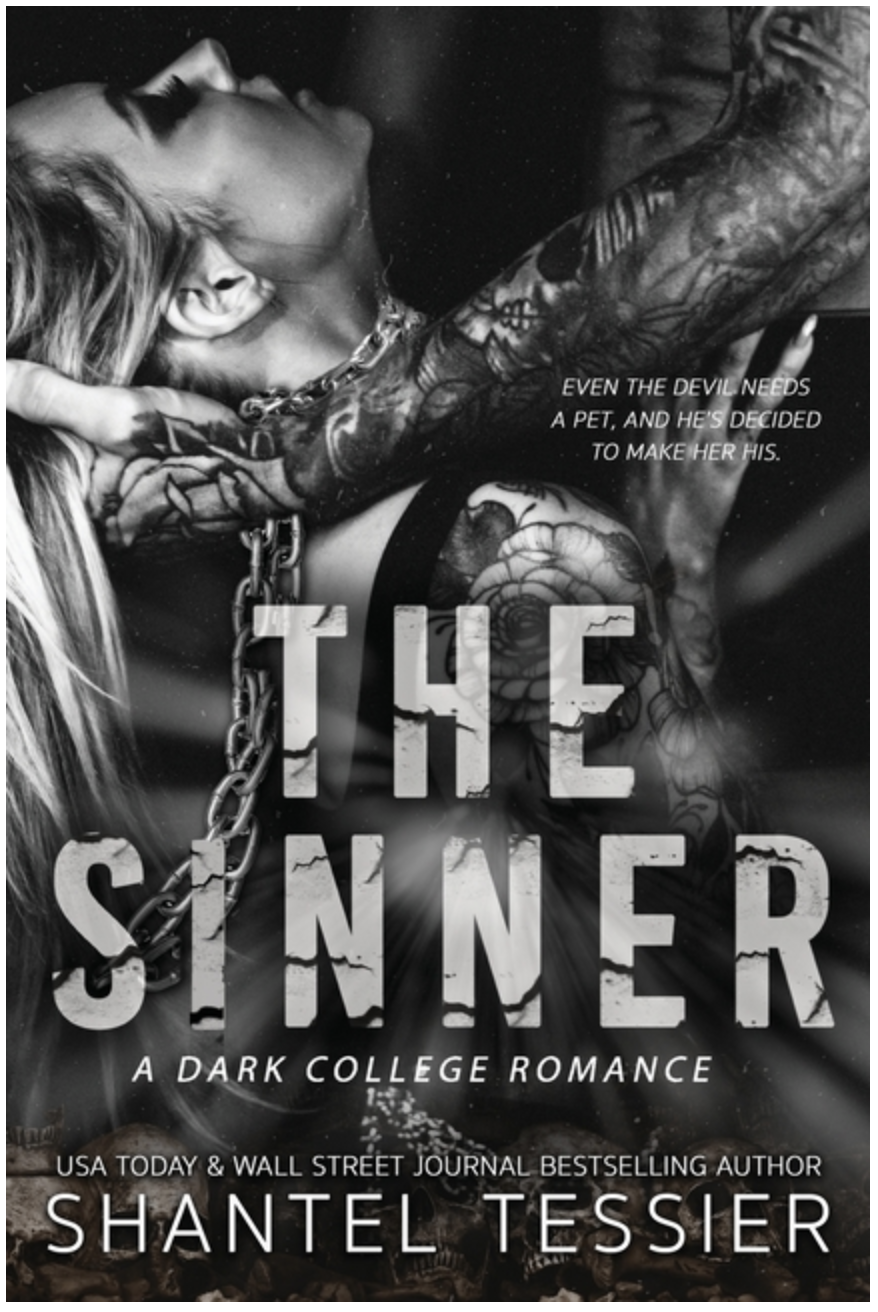 The Sinner - (Paperback)